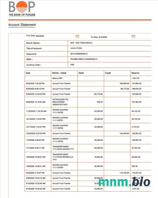 Pakistan Allied Bank Limited wyciąg z konta Word i szablon PDF